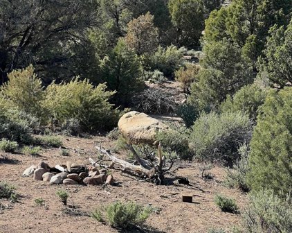 TBD Pine Nut Mountains (55), Gardnerville