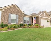 1009 Mayhaw Ln, Hendersonville image