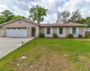 819 Forest Park Drive, Deland image