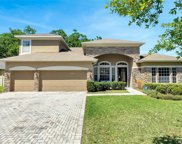 503 Courtlea Cove Avenue, Winter Garden image