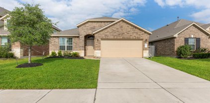 4835 San Gregorio Lane, Katy
