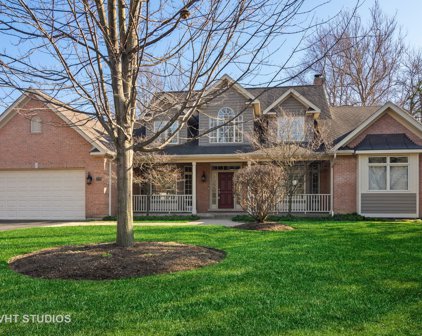1411 E Olive Street, Arlington Heights