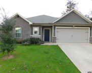 19491 Big Valley Dr, Flint image