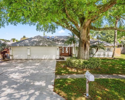 2630 Meadow Wood Drive, Clearwater