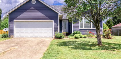 658 Helmwood Cir, Mt Washington