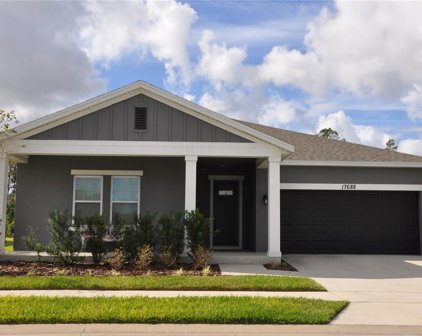 17688 Passionflower Circle, Clermont