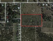 Plum Avenue S, Frostproof image