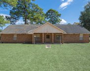 9205 Halkirk Street, Spring image
