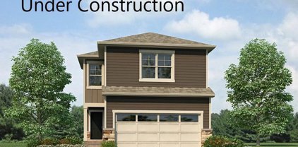 16246 Mountain Flax Drive, Monument