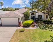3522 Autumn Glen Drive, Valrico image