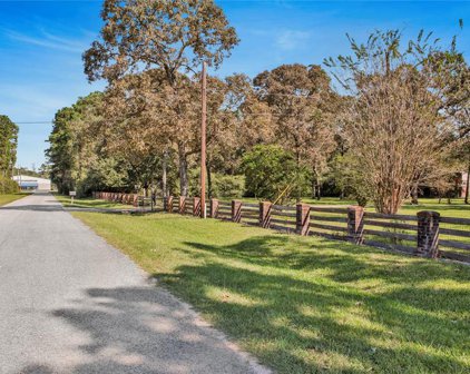 33506 Buckshot Lane, Magnolia