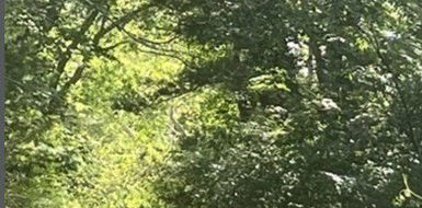 Lot 6 Plain Street, Middleboro