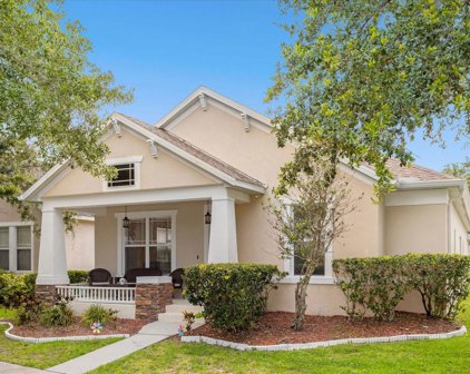 14575 Jamaica Dogwood Drive, Orlando