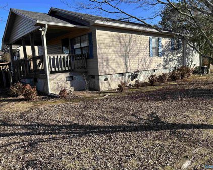 1870 Bethsaida Road, Boaz