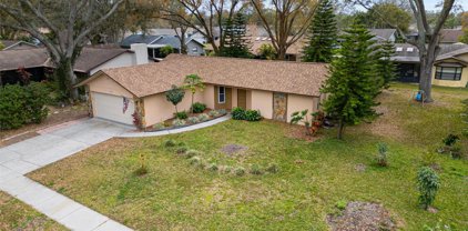 8626 White Springs Drive, New Port Richey