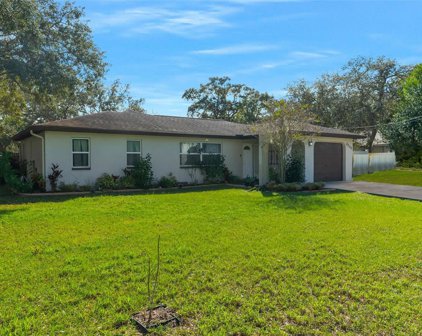 8200 Alhambra Court, Spring Hill