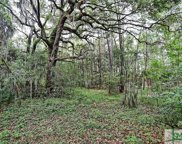 193 Burton Road, Savannah image