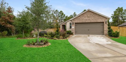 142 Pepper Grass Place, Montgomery