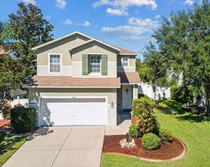5007 Prairie View Way, Wesley Chapel