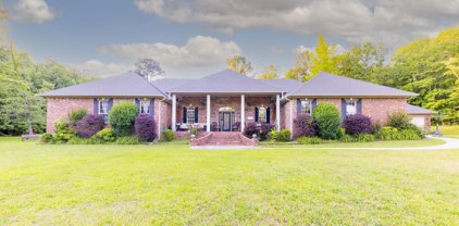 248 W Crestside, Alexander
