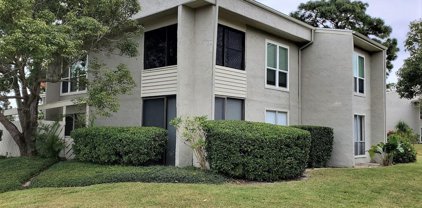 609 Windrush Bay Drive Unit 609, Tarpon Springs