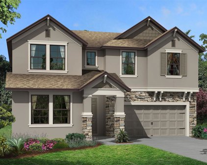 9330 Crescent Ray Drive, Wesley Chapel