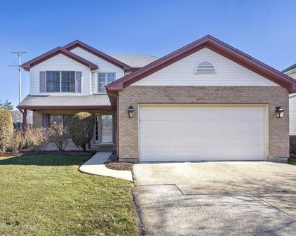 226 N Vincent Drive, Bolingbrook