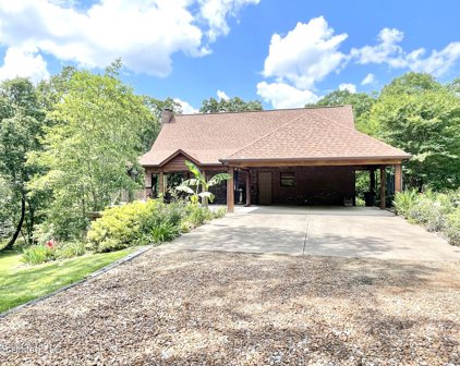 293 Colston Road, Holly Springs