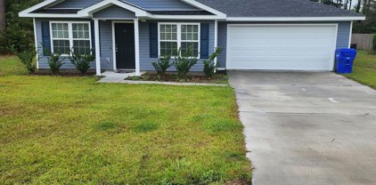165 Turpentine Circle, Jesup