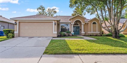 22630 Willow Lakes Drive, Lutz