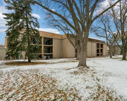 6328 Barrie Road Unit #1L, Edina