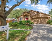 718 Somerstone Drive, Valrico image