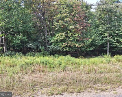 Lot 97 Ashwood Trl, Winchester