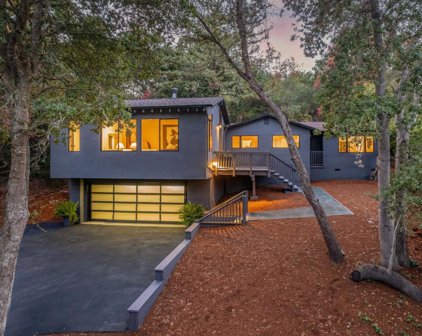 236 Canyon DR, Portola Valley