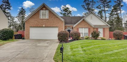 553 Saddlebrook  Drive, Rock Hill