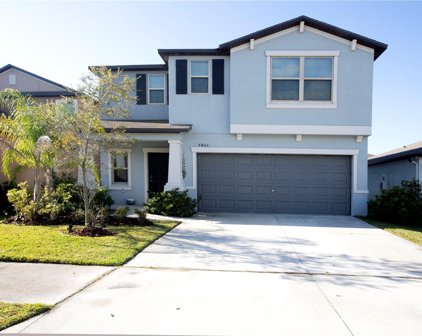 7403 Rosy Periwinkle Court, Tampa