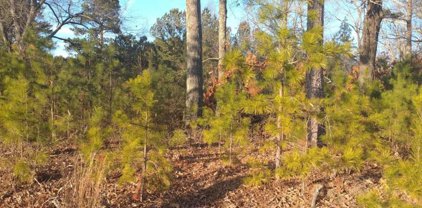 4771 Highway 92, Acworth