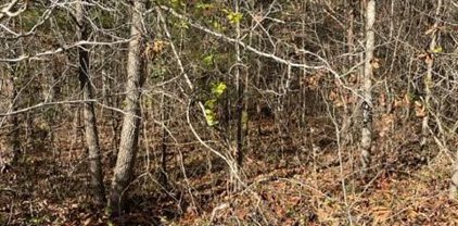 Holly Forest  Drive, Rutherfordton