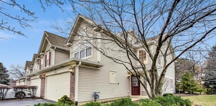 3303 Cool Springs Court, Naperville