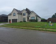265 Fantasia Way, Clarksville image