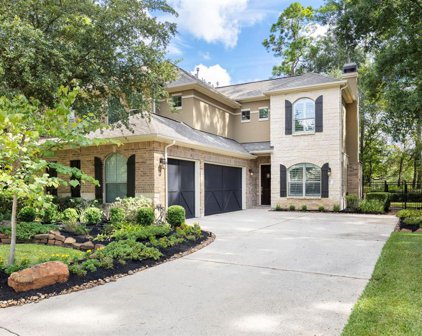 10 Mill Point Place, The Woodlands