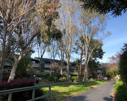 237 Boardwalk AVE B, San Bruno
