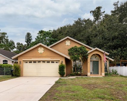 1600 Salem Drive, Orlando