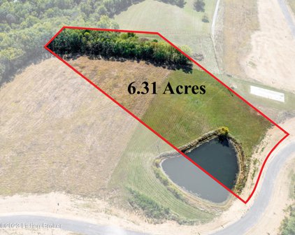Tract 39 Stallard Springs, Shelbyville