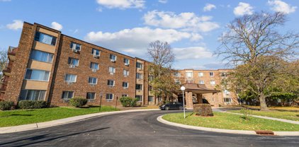 1880 Bonnie Lane Unit #419, Hoffman Estates