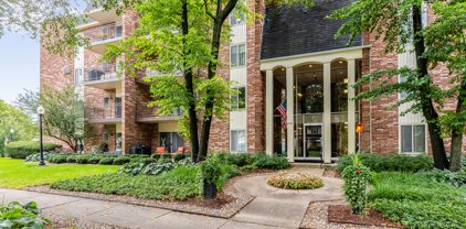 4900 Forest Avenue Unit #201, Downers Grove