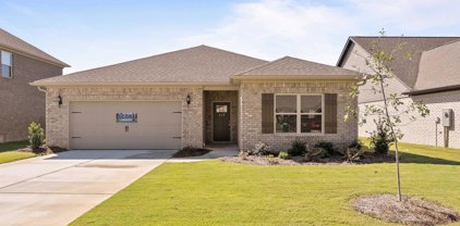 112 Waltrip Drive, Owens Cross Roads