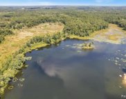 9000 HIDDEN LAKE, Cohoctah Twp image