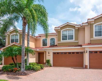 4045 Courtside Way, Tampa