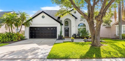 14509 Thornfield Court, Tampa